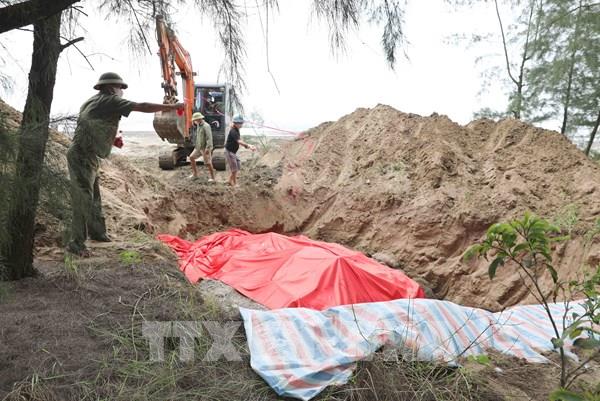 Nghệ An phát hiện xác cá voi nặng khoảng hơn 10 tấn trôi dạt vào bờ