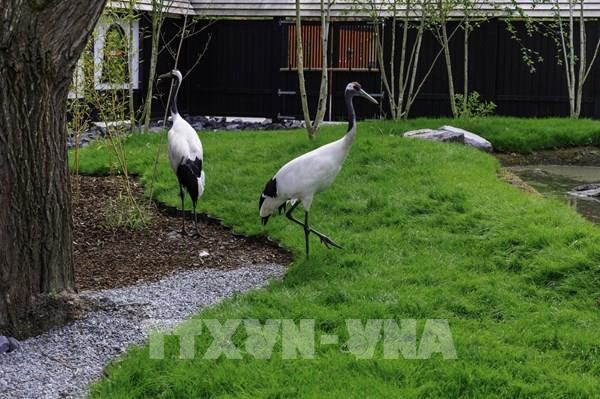 Khám phá "Hòn đảo Mặt Trời mọc" trong công viên động vật hoang dã của Bỉ