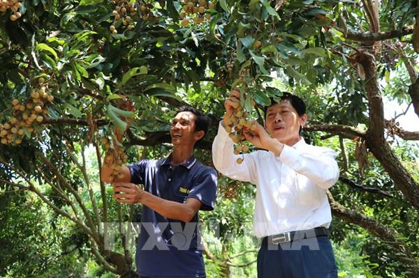 Kỳ họp thứ 7, Quốc hội khóa XV: Toàn văn Báo cáo thực hiện kế hoạch phát triển kinh tế - xã hội và ngân sách nhà nước (Phần 4)