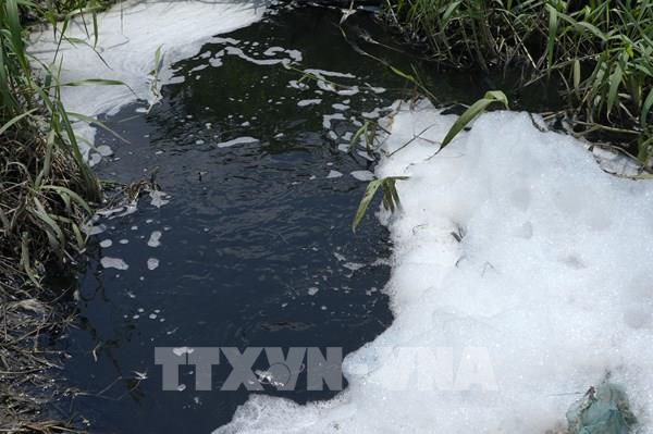 Truy tìm nguồn thải biến nước sông Vàm Cỏ Đông thành màu đen, bốc mùi hôi bất thường