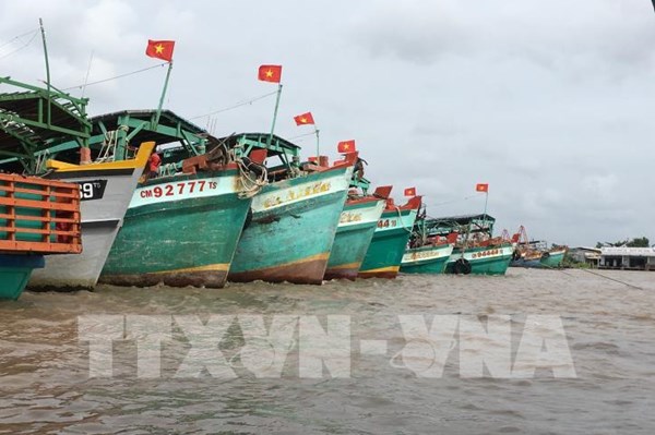 Khắc phục "thẻ vàng" IUU: Chấm dứt tình trạng tàu cá vi phạm