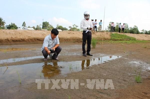 Nước mặn “bí ẩn” ở Hậu Giang: Đơn vị thi công sẽ hỗ trợ hộ dân bị thiệt hại lúa