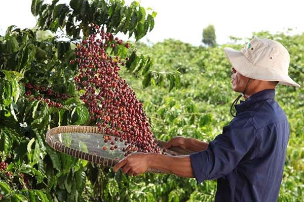 Cộng đồng doanh nghiệp đồng hành giảm phát thải khí nhà kính