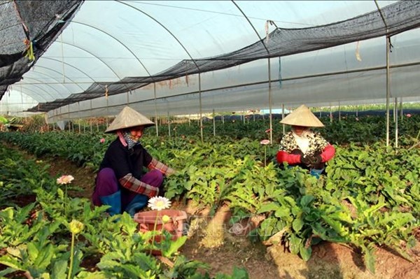 Thông "điểm nghẽn" cho hợp tác xã