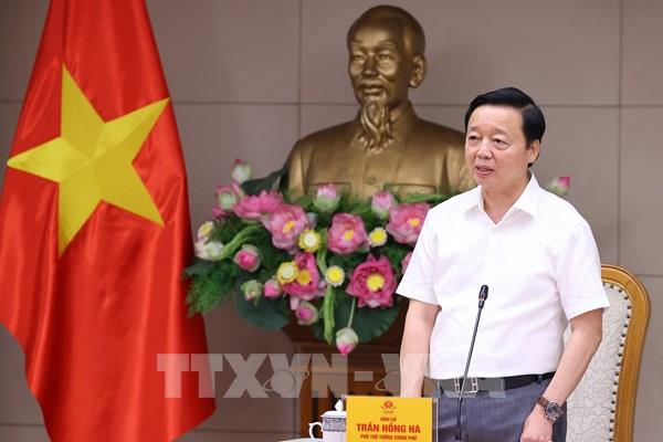 Khẩn trương hoàn thiện Nghị định quy định về tiền sử dụng đất, tiền thuê đất