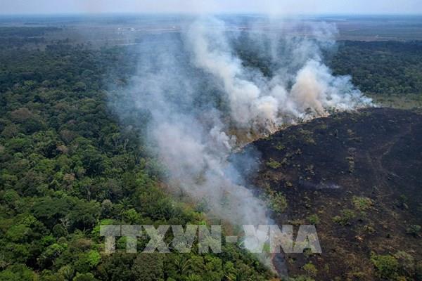Diện tích cháy rừng Amazon tại Brazil cao kỷ lục​ trong 25 năm
