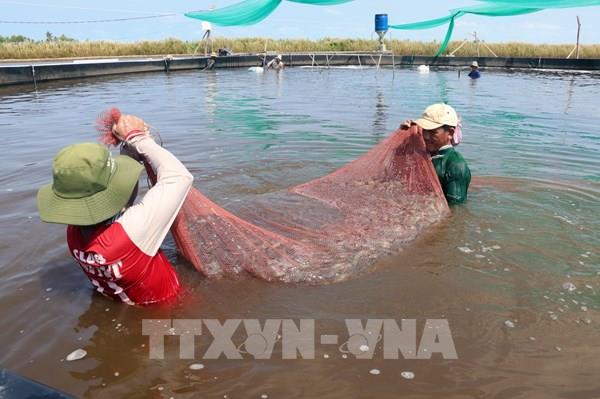 Nới cơ chế tín dụng nông nghiệp, nông thôn