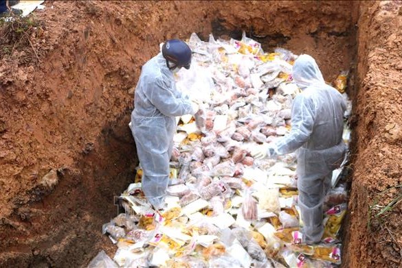 Ngăn chặn vận chuyển trái phép sản phẩm động vật không rõ nguồn gốc qua biên giới