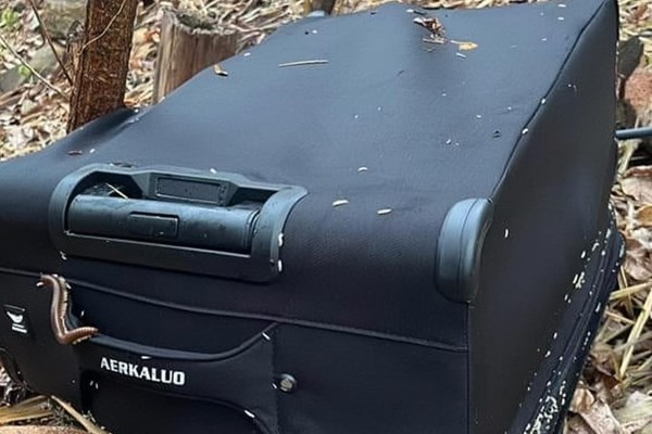 Khởi tố, bắt tạm giam 2 đối tượng giết người, giấu xác trong va li