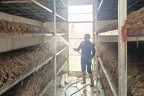 Chuyển biến rõ rệt về tín dụng chính sách ở Hà Nam