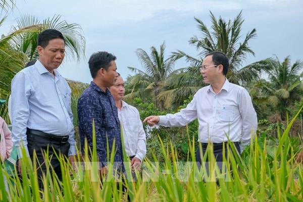 Cần Thơ khuyến khích hợp tác xã xây dựng thương hiệu lúa gạo