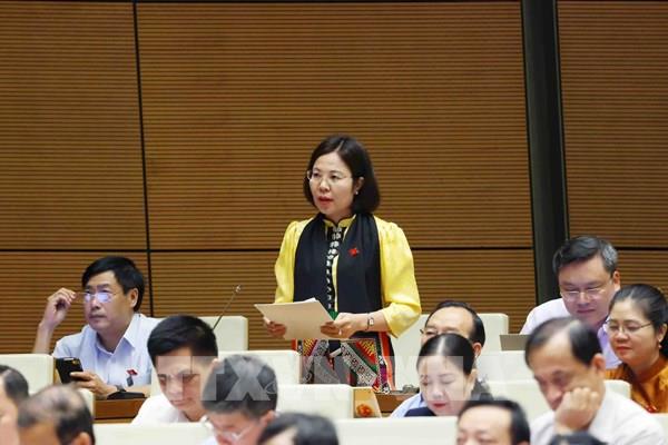 Rà soát các chương trình, chính sách phát triển kinh tế-xã hội vùng đồng bào dân tộc thiểu số