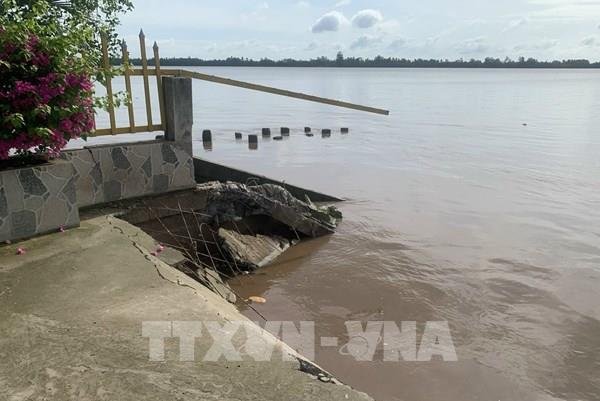 Sóc Trăng: Sạt lở nghiêm trọng ven sông Hậu tại huyện Long Phú
