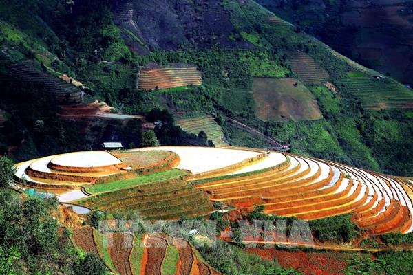 Ngắm ruộng bậc thang mùa nước đổ ở Xím Vàng