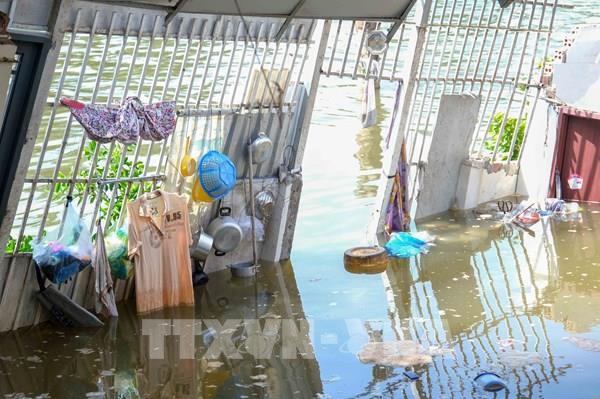 Hình ảnh sạt lở 10 căn nhà trên sông Bình Thủy