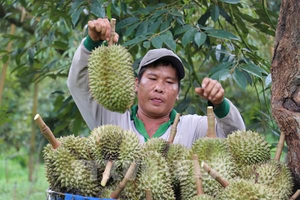 Thúc đẩy hợp tác thương mại Việt Nam-Trung Quốc