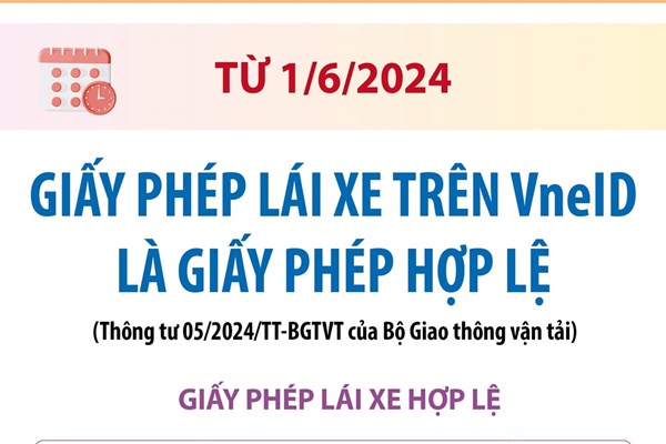 Tước 499 giấy phép lái xe trên ứng dụng VNeID
