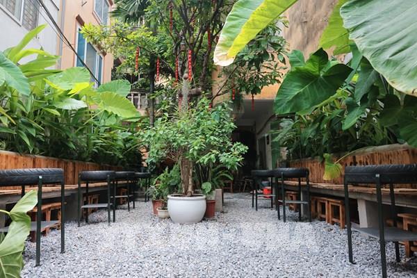 Không gian xanh tại nhiều quán cà phê Hà Nội
