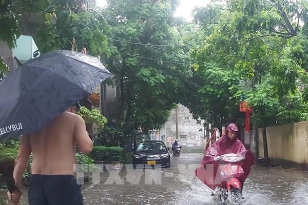 Dự báo thời tiết ngày mai 8/6: Bắc Bộ mưa dông rải rác