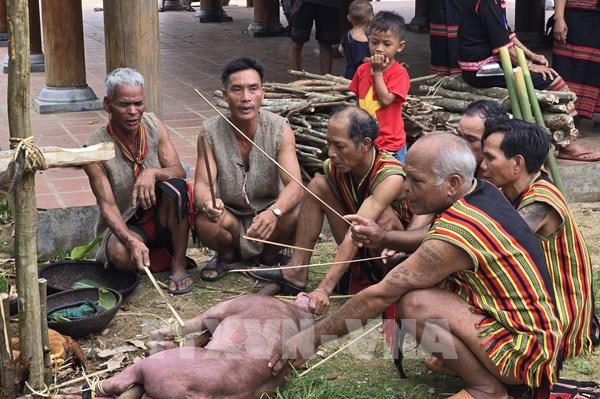 Lễ cúng Trỉa lúa của người Brâu ở Kon Tum