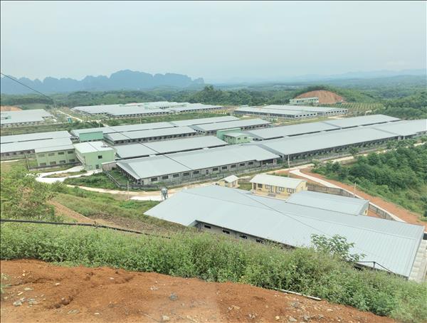  Đổi mới sáng tạo chăn nuôi lợn an toàn sinh học