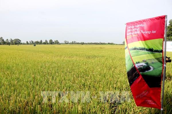 Năm 2025, Đồng bằng sông Cửu Long bảo đảm cấp nước cho sản xuất nông nghiệp lên 90%