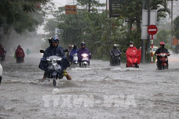 Hầu hết các khu vực có mưa rào và dông