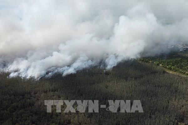 Cháy lớn tại Vườn Quốc gia Tràm Chim, Đồng Tháp
