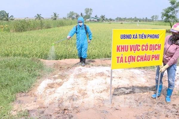 Xử lý dứt điểm, không để phát sinh thêm ổ dịch tả lợn châu Phi