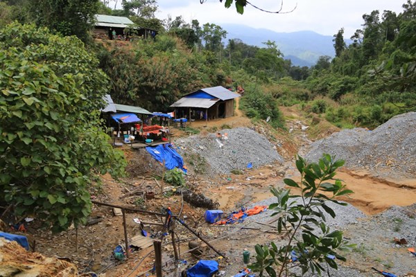 Phú Yên phạt 250 triệu đồng doanh nghiệp vi phạm trong khai thác mỏ vàng