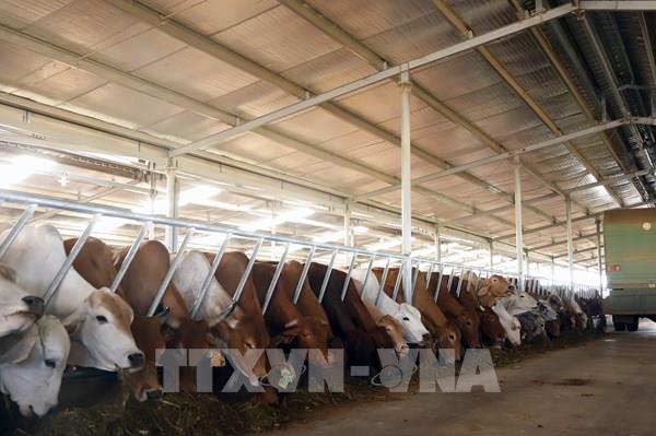 Việt Nam - Lào hướng tới quan hệ thương mại hiệu quả, bền vững