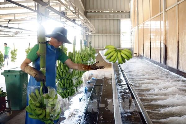 Doanh nghiệp Việt Nam góp phần cải thiện cuộc sống người lao động Lào