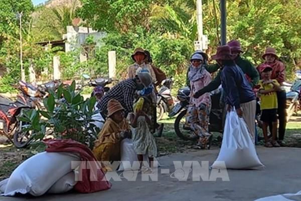 Cấp phát gạo hỗ trợ nhân dân dịp giáp hạt 2024