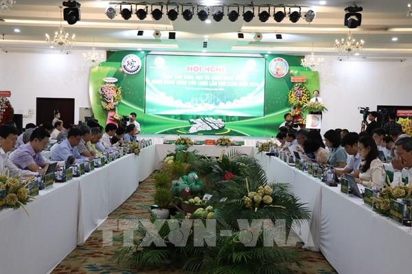 Ứng phó linh hoạt với hạn mặn, sạt lở ở ĐBSCL