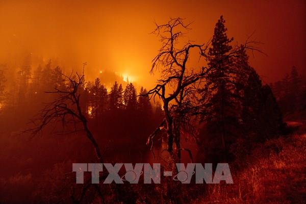 Nga ban bố tình trạng khẩn cấp ở Novorossiisk do cháy rừng lan rộng