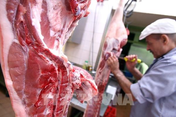 Trung Quốc điều tra chống bán phá giá đối với thịt lợn nhập khẩu từ EU