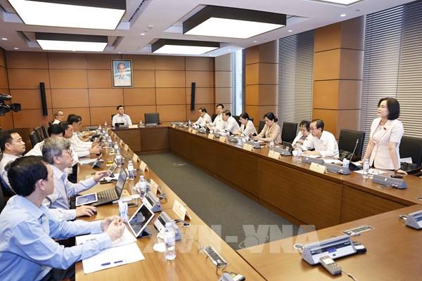 Cân nhắc việc áp dụng thuế suất thuế giá trị gia tăng 5% đối với phân bón