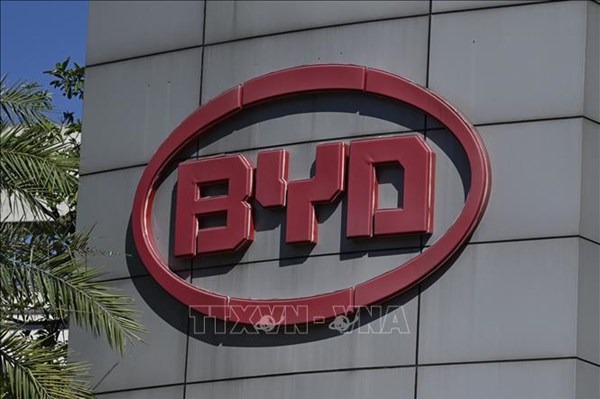 BYD triệu hồi lượng xe lớn nhất từ trước đến nay