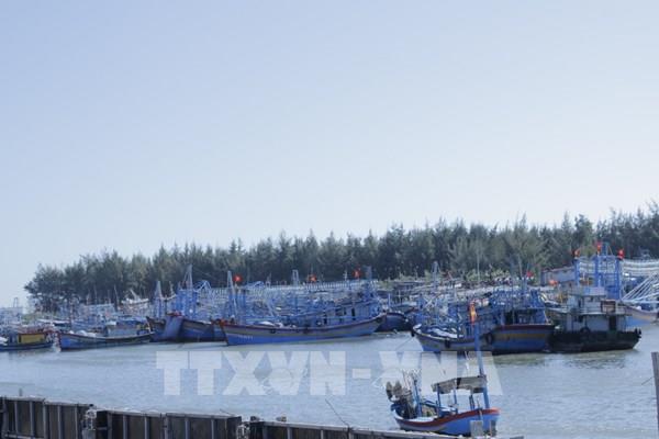 Khắc phục "thẻ vàng" IUU: Quản lý, giám sát chặt tàu cá “3 không”