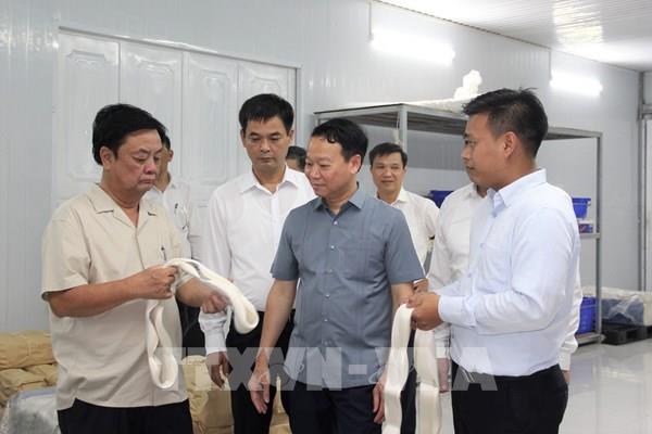 Quy hoạch chung hồ Thác Bà sẽ là tiền đề thu hút đầu tư của tỉnh Yên Bái