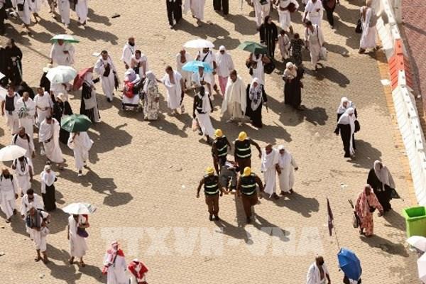 Ai Cập khởi tố 16 công ty du lịch vi phạm quy định về tổ chức lễ hành hương Hajj