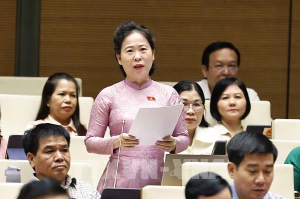 Quốc hội: Đánh giá kỹ tác động khi áp dụng thuế giá trị gia tăng 5% đối với phân bón