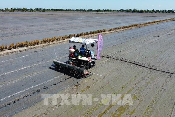 Đồng Tháp kỳ vọng gì từ Đề án 1 triệu ha lúa chất lượng cao, phát thải thấp?