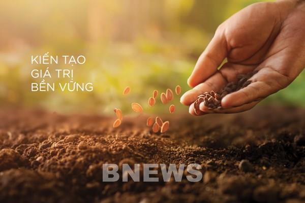 Năm thứ hai MSB công bố báo cáo phát triển bền vững