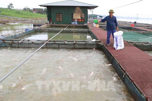Hà Nội hướng tới xuất khẩu thủy sản