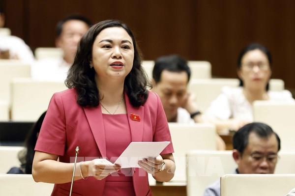 Quốc hội tán thành với vấn đề gia hạn nợ tái cấp vốn cho Vietnam Airlines