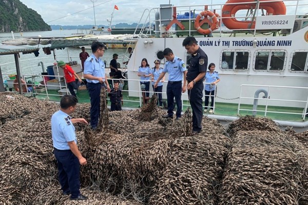 Quảng Ninh: Chuyển công an điều tra vụ 63 tấn hàu giống nghi nhập lậu