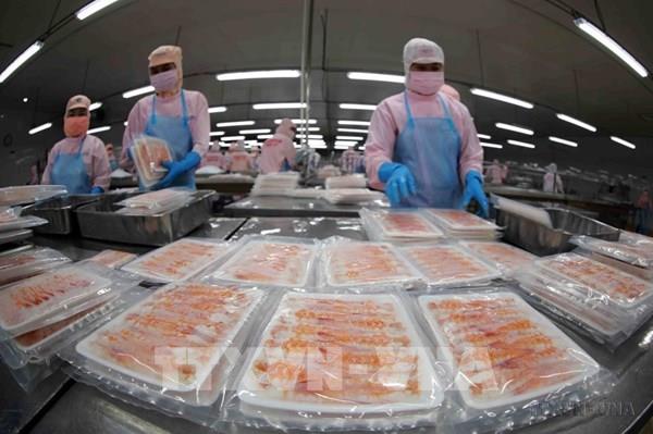 Việt Nam và Hàn Quốc cần cơ cấu lại chiến lược tăng trưởng dựa trên những lĩnh vực mới