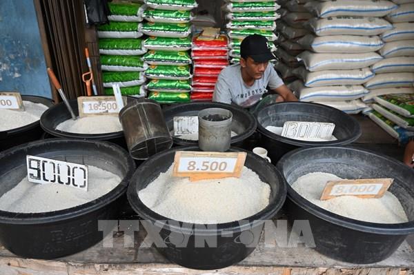 Thách thức và triển vọng cho thị trường gạo châu Á