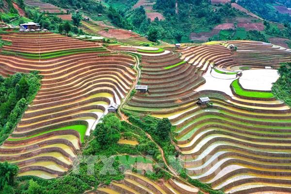 Ruộng bậc thang vùng cao Mù Cang Chải vào mùa nước đổ